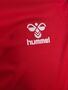 Hummel hmlESSENTIAL POLO - true red