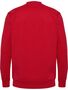 Hummel hmlGO 2.0 SWEATSHIRT - true red