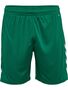 Hummel hmlCORE XK POLY SHORTS - evergreen