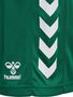 Hummel hmlCORE XK POLY SHORTS KIDS - evergreen