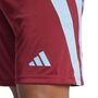 adidas Fortore 23 Shorts