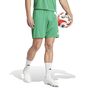 adidas Fortore 23 Shorts