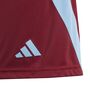adidas Fortore 23 Shorts