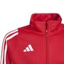 adidas Tiro24 Trainings Jacke Junior