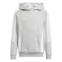 adidas Tiro24 Sweat-Hoodie