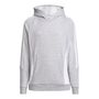 adidas Tiro24 Sweat-Hoodie