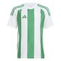 adidas Striped 24 Jsyy Trikot