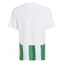 adidas Striped 24 Jsyy Trikot