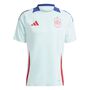 adidas Spanien Fef Trainingsshirt
