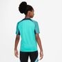Nike Kinder T-Shirt K Nk Df Strk Ss Top K Br
