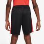 Nike Kinder Shorts kurze Hose Cr7 K Nk Df Acd23 Short K