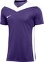 Nike Dri-FIT Park Derby IV Fu�balltrikot f�r Herren (Stock)