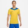 Nike Dri-FIT Park Derby IV Fu�balltrikot f�r Herren (Stock)