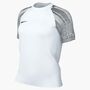 Nike Damen Trikot T-Shirt W Nk Df Academy Jsy Ss
