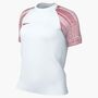 Nike Damen Trikot T-Shirt W Nk Df Academy Jsy Ss