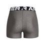 Under Armour HeatGear Authentics Short