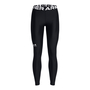 Under Armour HeatGear Authentics Leggings