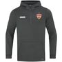 Jako Vfb Zip Hoodie Pro Casual - aschgrau