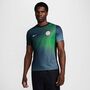 Nike Nigeria Nff Dri-Fit Academy Pro Pre-Match Trikot 
