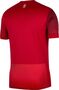 Nike Polen Dri-Fit Stadium Ausw�rtstrikot