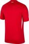 Nike T�rkiye 2024/25 Stadium Away Herren Nike Dri-FIT Fu�ball Replica Trikot