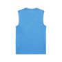 Puma teamGOAL Sleeveless Jersey - blau