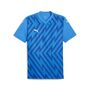 Puma teamGLORY Jersey - blau
