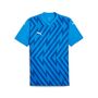 Puma teamGLORY Jersey - blau