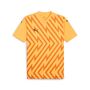 Puma teamGLORY Jersey - orange