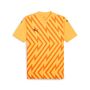 Puma teamGLORY Jersey - orange