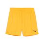 Puma teamGOAL Shorts Wmns - orange
