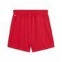Puma teamGOAL Shorts Wmns - rot