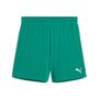 Puma teamGOAL Shorts Wmns - gr�n