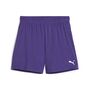 Puma teamGOAL Shorts Wmns - violett