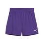 Puma teamGOAL Shorts Wmns - violett