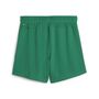 Puma teamGOAL Handball Shorts W - gr�n