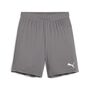 Puma teamGOAL Shorts Jr - grau