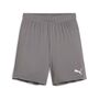 Puma teamGOAL Shorts Jr - grau
