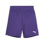 Puma teamGOAL Shorts Jr - violett
