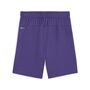 Puma teamGOAL Shorts Jr - violett