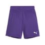 Puma teamGOAL Shorts Jr - violett