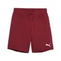Puma teamGOAL Shorts Jr - rot