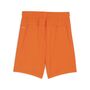 Puma teamGOAL Shorts Jr - orange