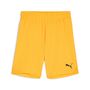 Puma teamGOAL Shorts Jr - orange