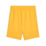 Puma teamGOAL Shorts Jr - orange
