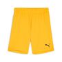 Puma teamGOAL Shorts Jr - orange