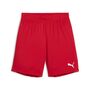 Puma teamGOAL Shorts Jr - rot