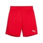 Puma teamGOAL Shorts Jr - rot