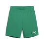 Puma teamGOAL Shorts Jr - gr�n