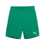 Puma teamGOAL Shorts Jr - gr�n